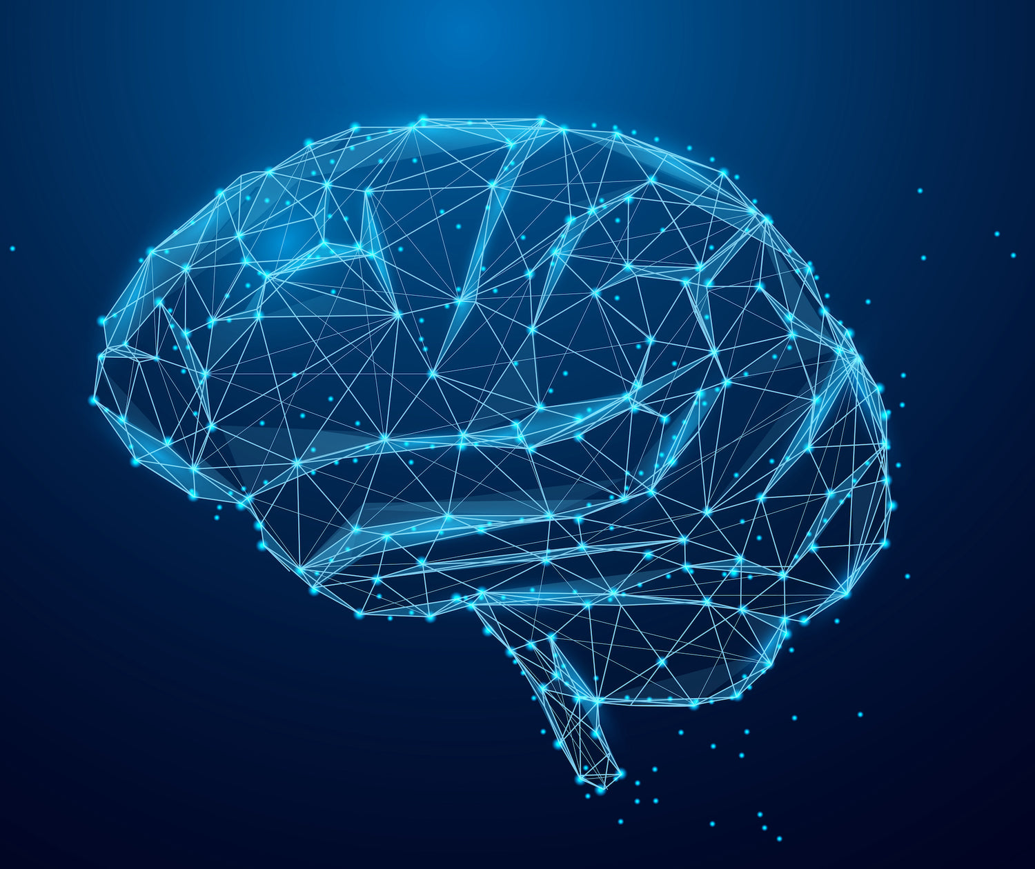 the brain lit up to show all the connectivity, enclare brain support supplements help with improving brain performance.