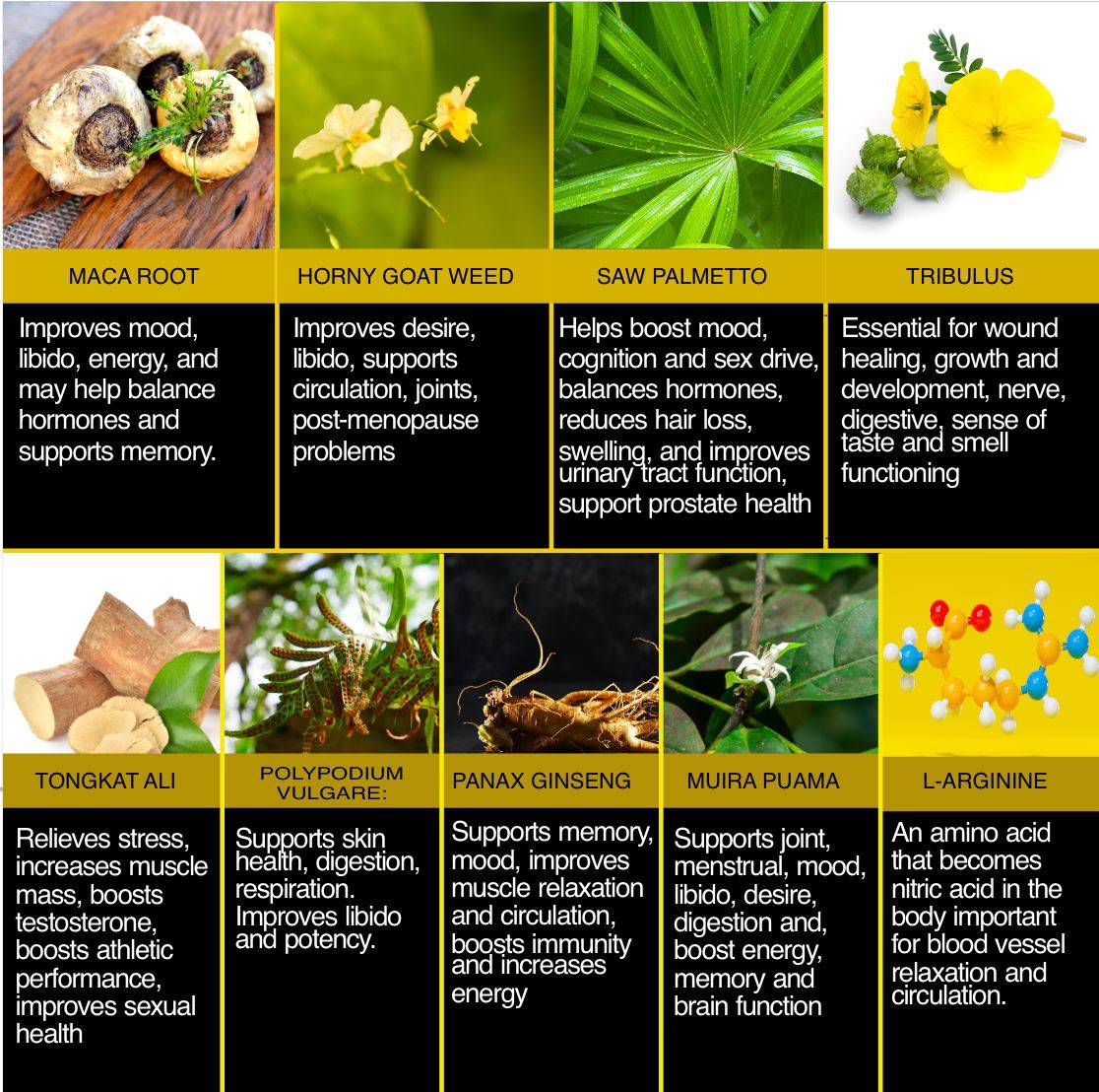 Stamina - Horny Goat Weed - Enclare Nutrition