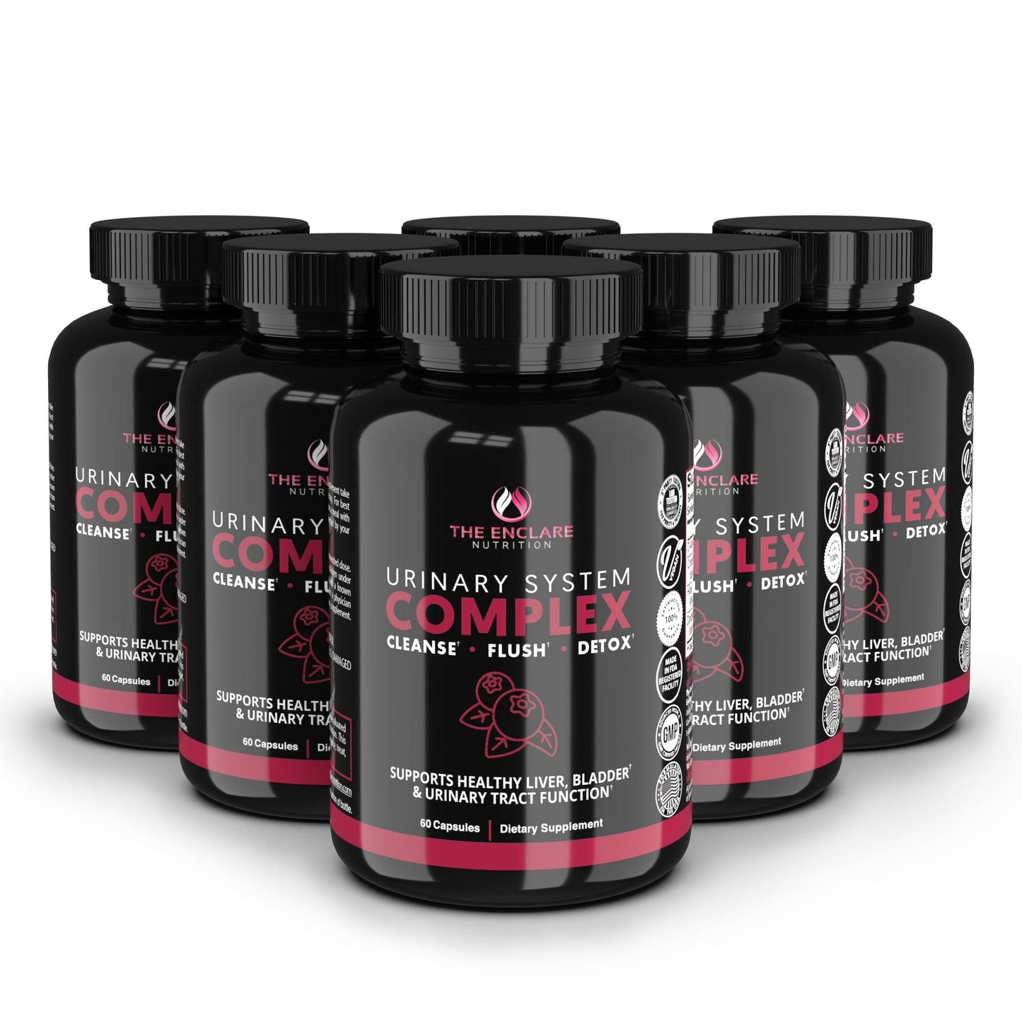 Urinary System Complex - Enclare Nutrition