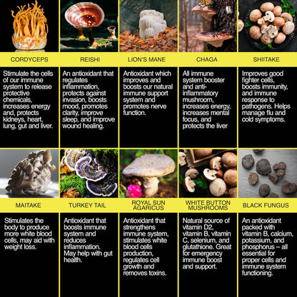 10-in-1 Mushroom Complex - Enclare Nutrition