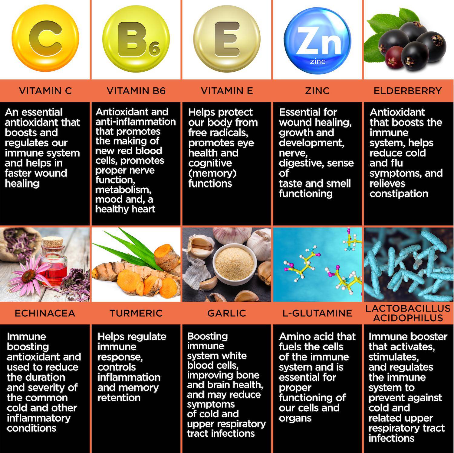Power Immunity - Enclare Nutrition